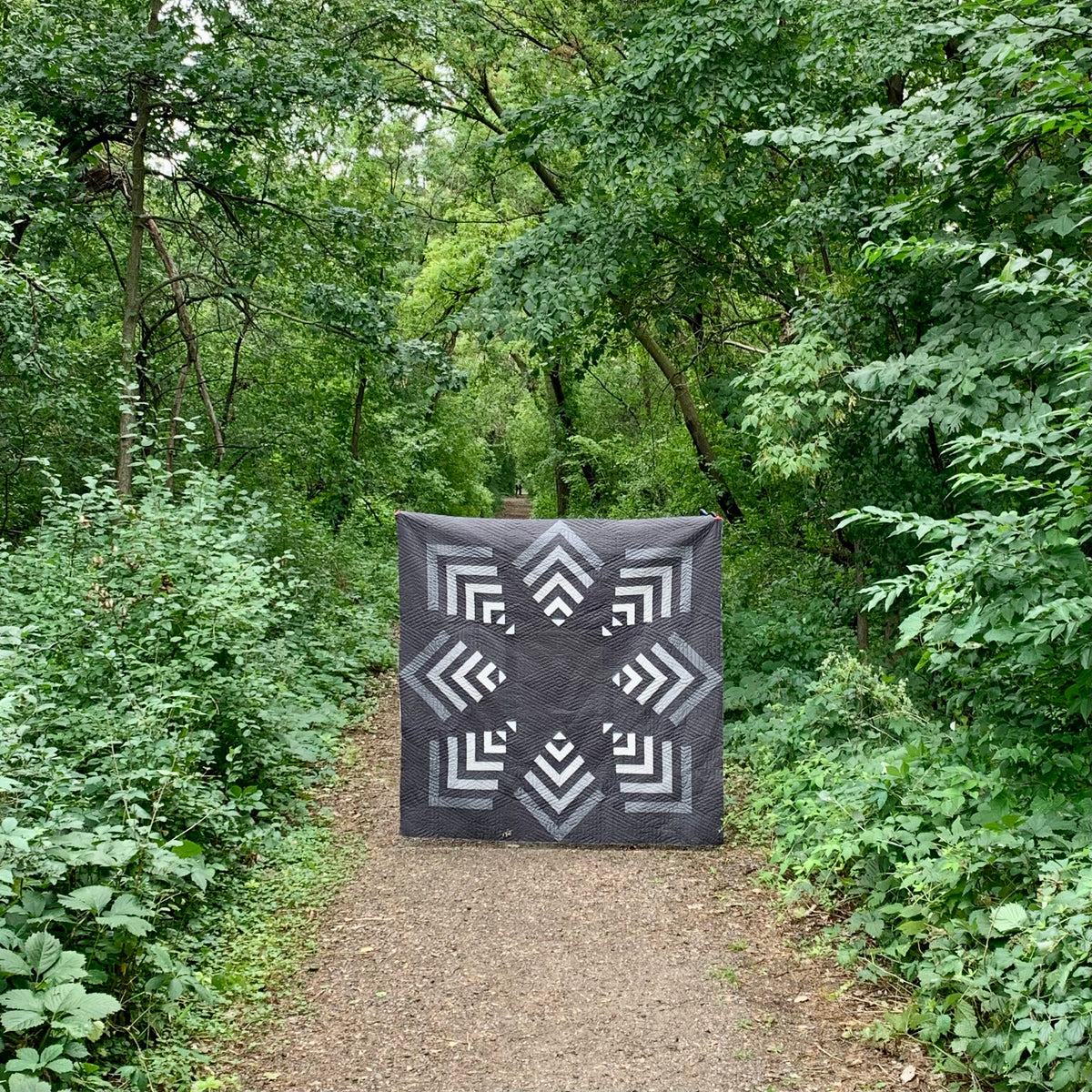 Pine Sky Quilt Bundle Rosie Girl Quilting