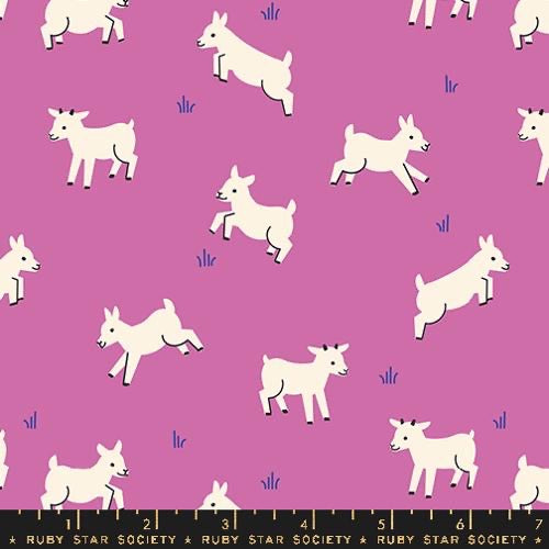 Animal, Animal: Baby Goats in Heliotrope Animal, Animal: Baby Goats in Heliotrope