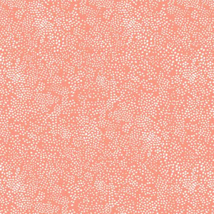 Menagerie Champagne in Coral for Rifle Paper Co. Basics